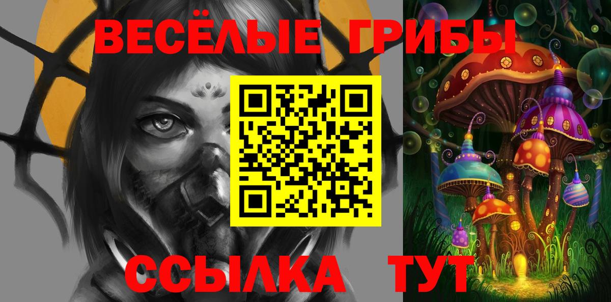 Галлюциногенные грибы прущие грибы Кисловодск