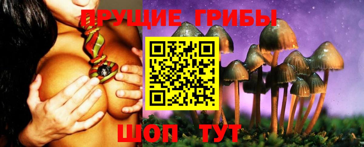 Кисловодск  Галлюциногенные грибы Magic Shrooms  Галлюциногенные грибы мухоморы  магазин продажи наркотиков  Вход с VPN 
