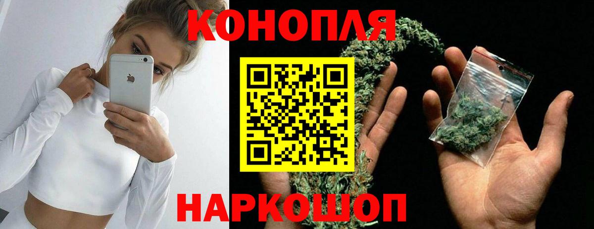 Конопля планчик Кисловодск